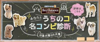 うちのコ名コンビ診断