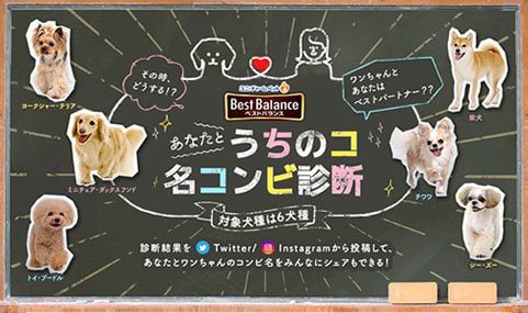 うちのコ名コンビ診断
