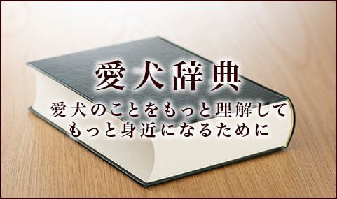 愛犬辞典