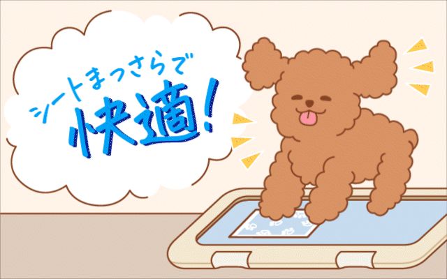 シートまっさらで快適！