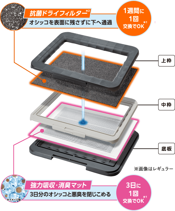 抗菌ドライフィルター※2 オシッコを表面に残さずに下へ通過 1週間に1回交換でOK※1 強力吸収・消臭マット 3日分のオシッコと悪臭を閉じこめる 3日に1回交換でOK※1 ※イメージ図 ※画像はレギュラー