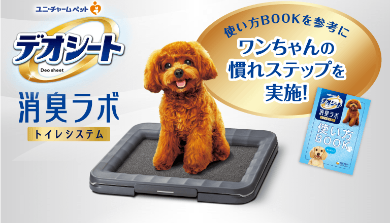 デオシート消臭ラボトイレシステム 使い方BOOKを参考にワンちゃんの慣れステップを実施！