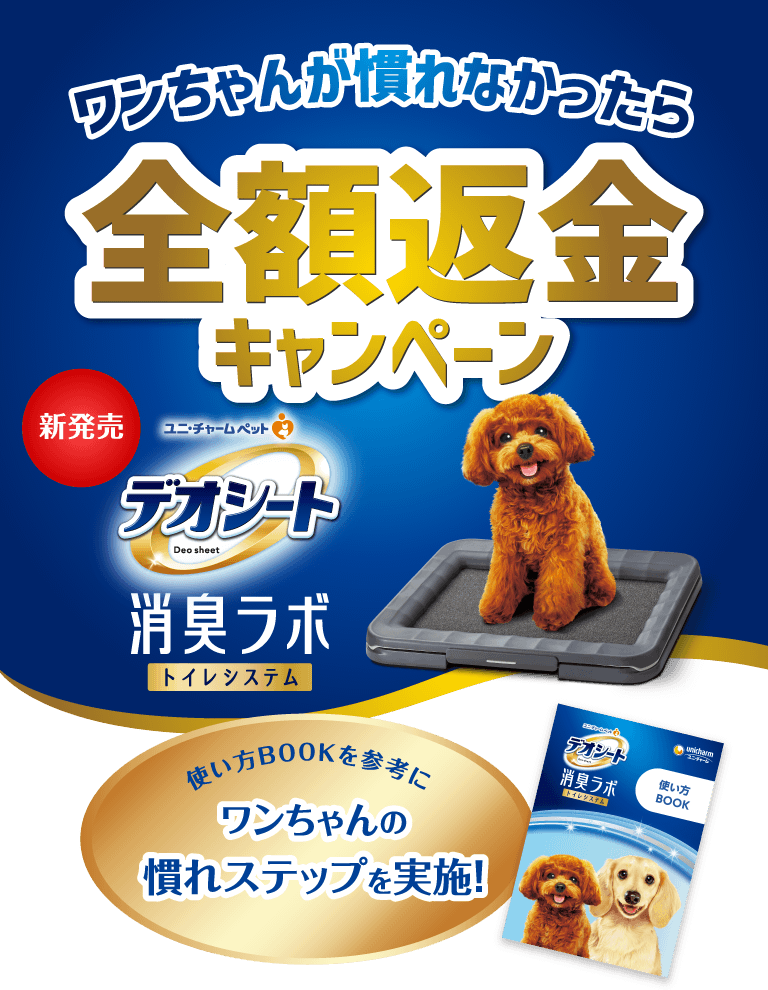 新発売 デオシート消臭ラボトイレシステム ワンちゃんが慣れなかったら全額返金キャンペーン 使い方BOOKを参考にワンちゃんの慣れステップを実施！