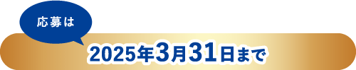 応募は2025年3月31日まで