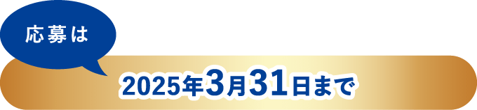 応募は2025年3月31日まで