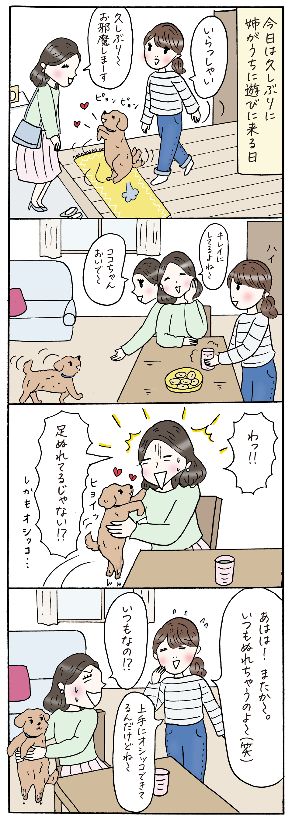 オシッコでぬれたままの足は菌がいっぱい 対策方法を漫画で紹介 デオシート ユニ チャーム ペット