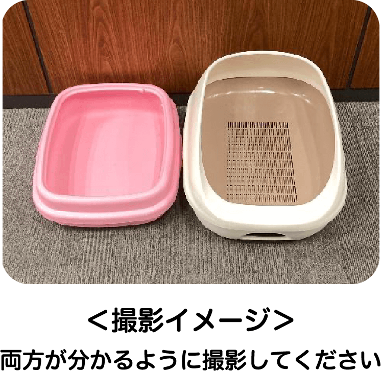 ＜撮影イメージ＞両方が分かるように撮影してください