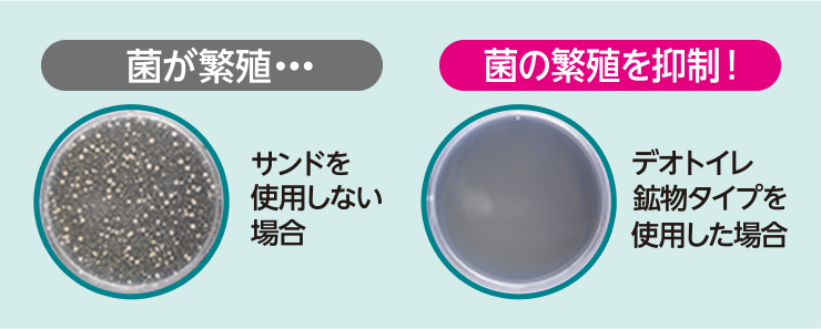 左：シャーレに菌が増殖している様子　右：シャーレに菌が増殖していない様子