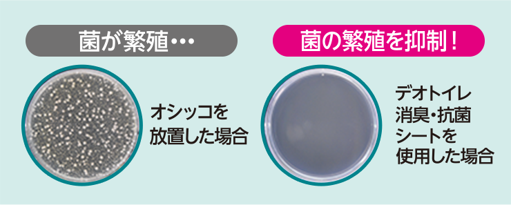 左：シャーレに菌が増殖している様子　右：シャーレに菌が増殖していない様子