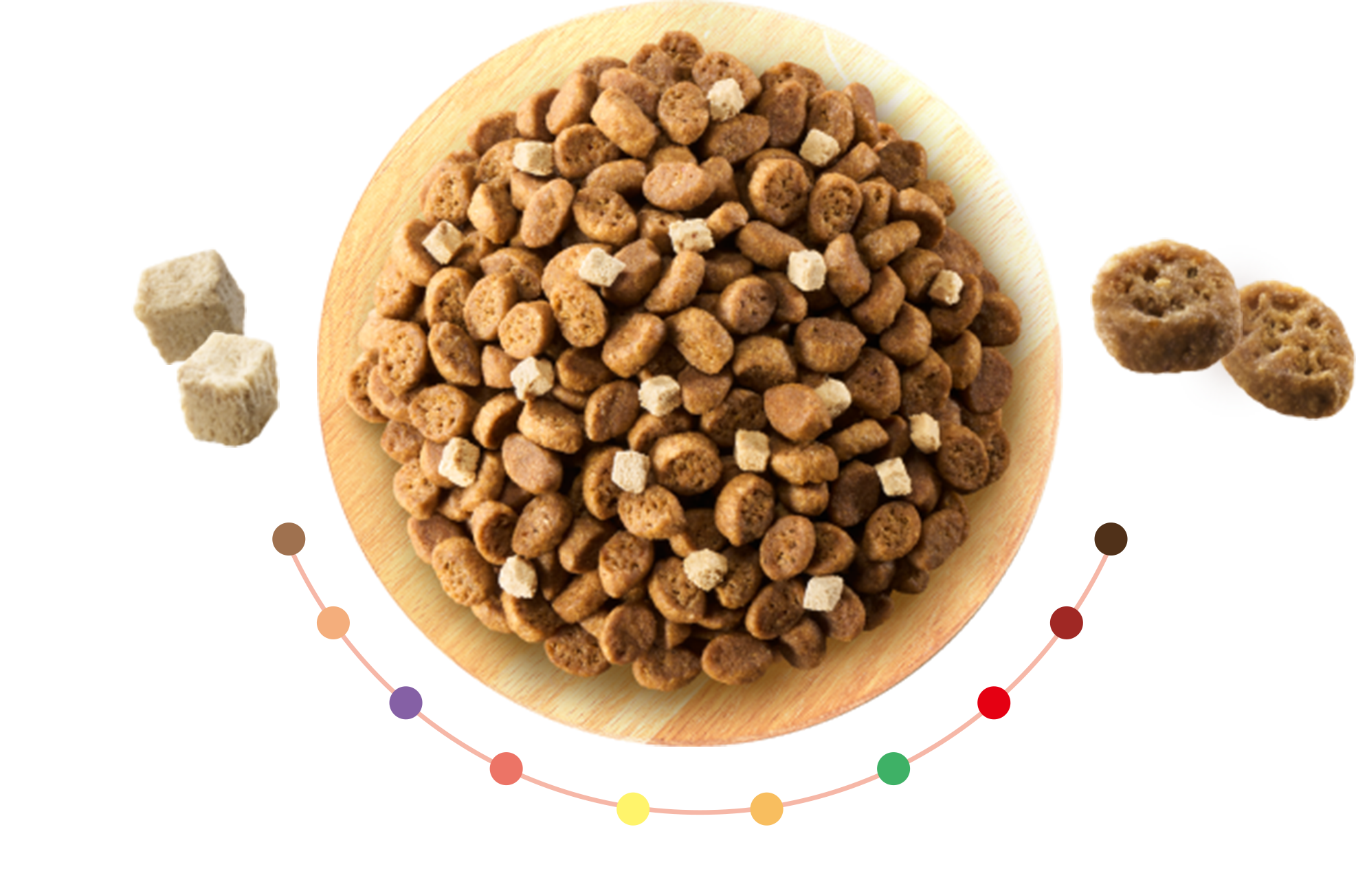 10種の自然素材配合の粒 チキン入り,ビーフ入り,トマト入り,かぼちゃ入り,にんじん入り,大豆入り,ポーク入り,まぐろ入り,サーモン入り,かつお入り チキン（フリーズドライ）