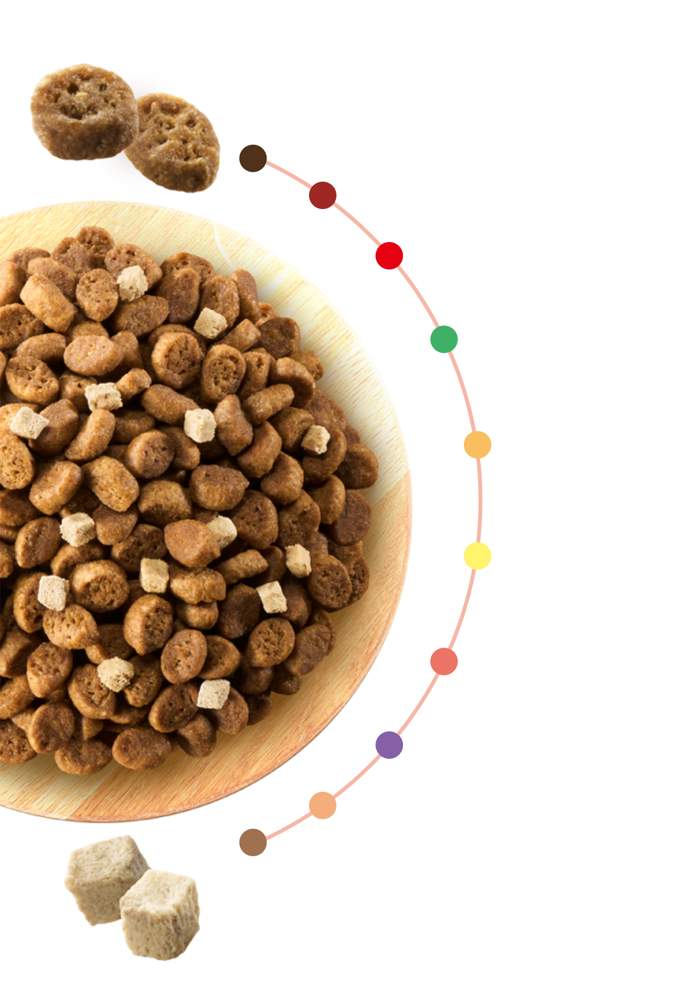10種の自然素材配合の粒 チキン入り,ビーフ入り,トマト入り,かぼちゃ入り,にんじん入り,大豆入り,ポーク入り,まぐろ入り,サーモン入り,かつお入り チキン（フリーズドライ）