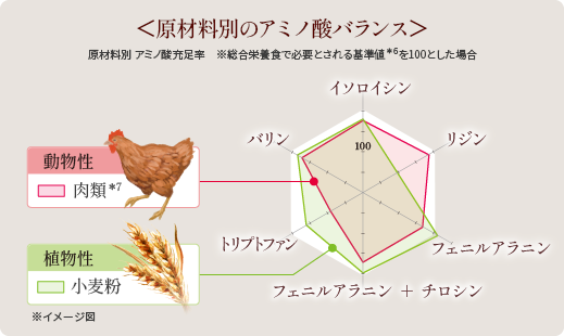 ＜原材料別のアミノ酸バランス＞原材料別 アミノ酸充足率 ※総合栄養食で必要とされる基準値*6を100とした場合 動物性 肉類*7 植物性 小麦粉 ※イメージ図