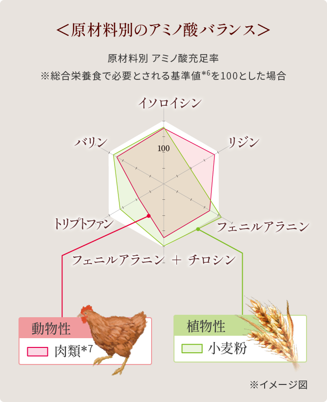 ＜原材料別のアミノ酸バランス＞原材料別 アミノ酸充足率 ※総合栄養食で必要とされる基準値*6を100とした場合 動物性 肉類*7 植物性 小麦粉 ※イメージ図