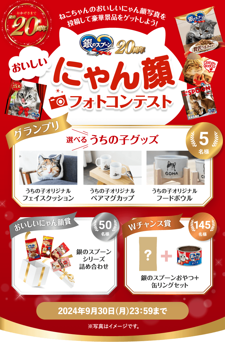 おかげさまで発売20周年 銀のスプーン 20周年 おいしいにゃん顔フォトコンテスト おいしいねこちゃんのおいしいにゃん顔写真を投稿して豪華景品をゲットしよう！ グランプリ 選べるうちの子グッズ 5名様 うちの子オリジナルフードボウル うちの子オリジナルペアマグカップ うちの子オリジナルフェイスクッション おいしいにゃん顔賞 50名様 銀のスプーンシリーズ詰め合わせ Wチャンス賞 145名様 銀のスプーンおやつ＋缶リングセット おやつの内容は届いてからのお楽しみ！ 2024年9月30日(月)23：59まで