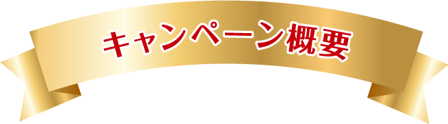 キャンペーン概要