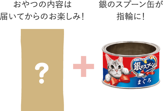 おやつの内容は届いてからのお楽しみ！銀のスプーン缶が指輪に！