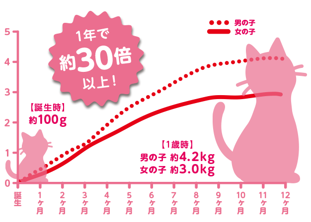 誕生から12カ月までの体重グラフ
