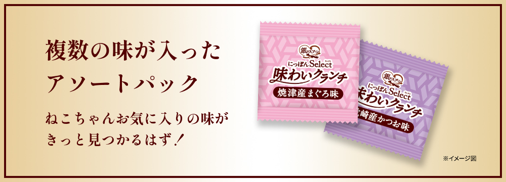 複数の味が入ったアソートパック ねこちゃんお気に入りの味が きっと見つかるはず！ ※個包装の写真はイメージ図