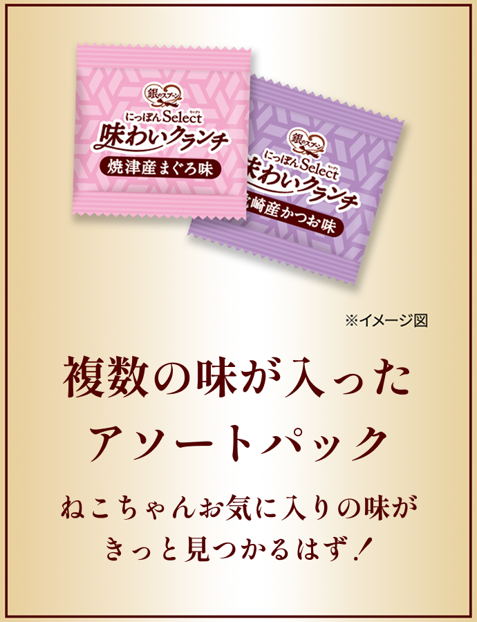 複数の味が入ったアソートパック ねこちゃんお気に入りの味が きっと見つかるはず！ ※個包装の写真はイメージ図