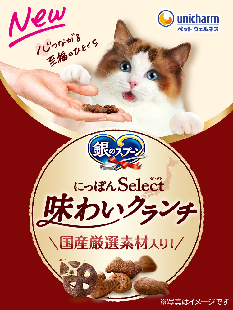New 銀のスプーン にっぽんSelect味わいクランチ 国産厳選素材入り！ 心つながる至福のひとくち