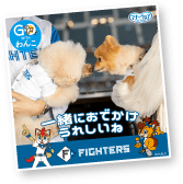 Fightersフレームイメージ