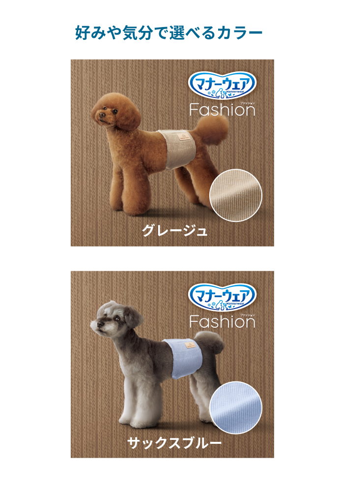 好みや気分で選べるカラー