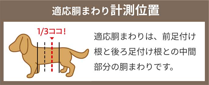 適応胴まわり計測位置