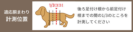 適応胴まわり計測位置