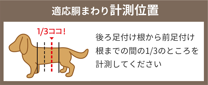 適応胴まわり計測位置