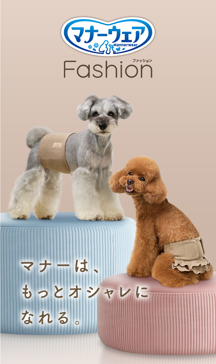 マナーは、もっとオシャレになれる。