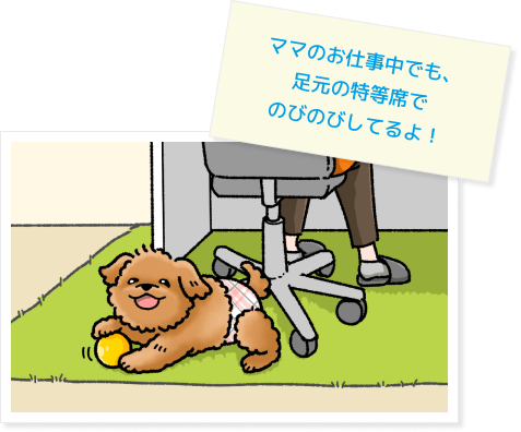 ママのお仕事中でも、足元の特等席でのびのびしてるよ！