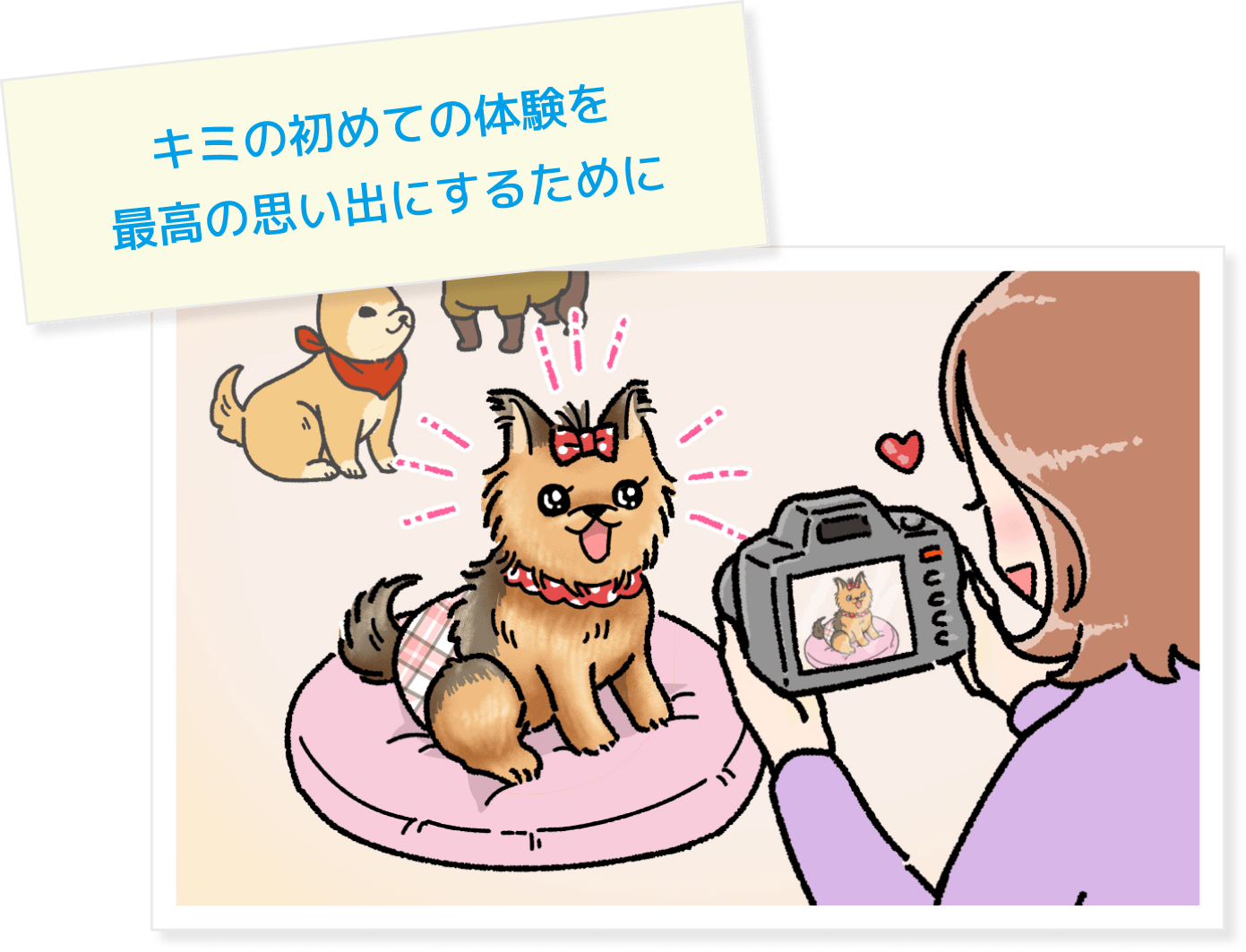 トイレ失敗がないから部屋汚れの不安なし！