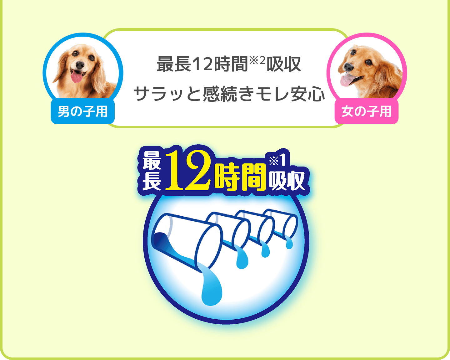 男の子用 女の子用 最長12時間※2 吸収サラッと感続きモレ安心 最長12時間※1吸収