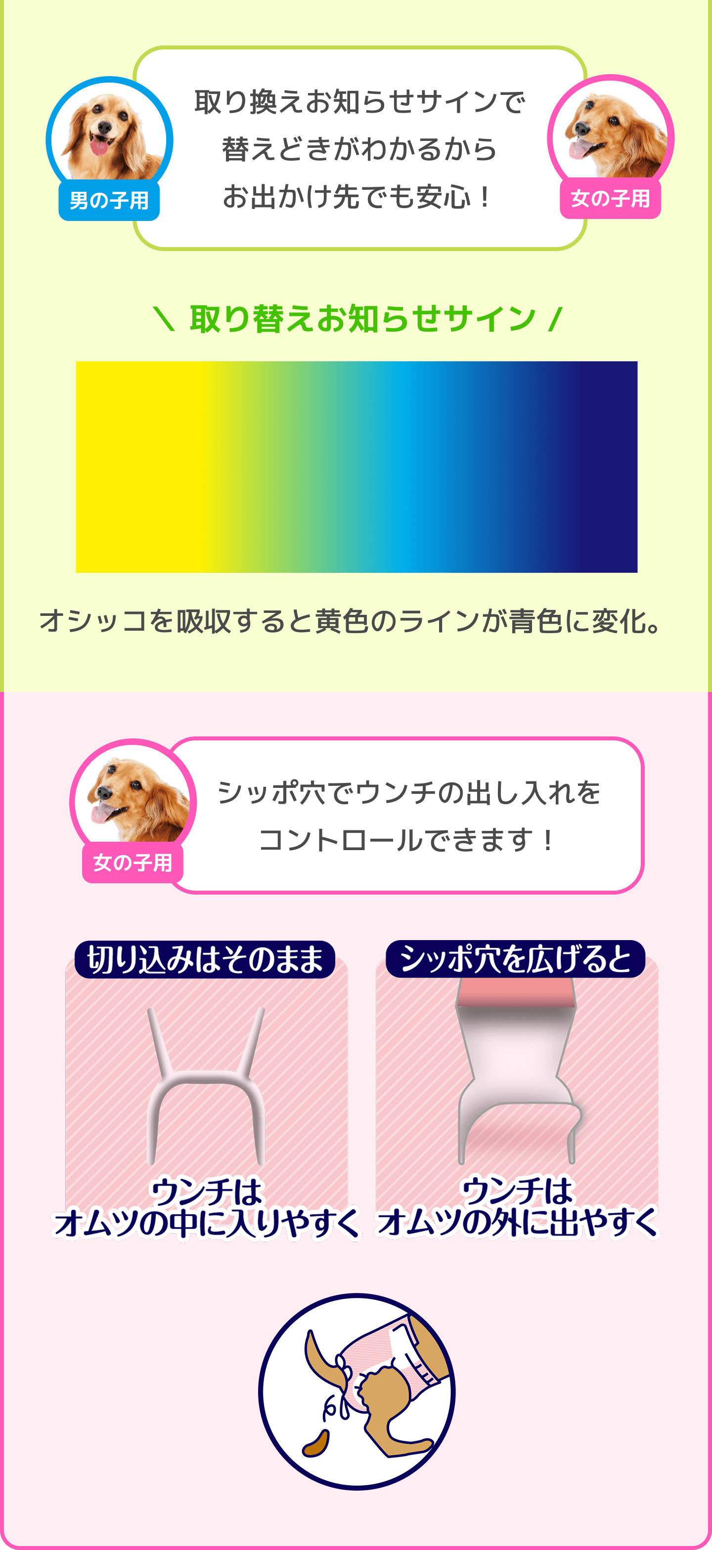男の子用 女の子用 取り換えお知らせサインで替えどきがわかるからおでかけ先でも安心！ 取り替えお知らせサイン オシッコを吸収すると黄色のラインが青色に変化。 女の子用 シッポ穴でウンチの出し入れをコントロールできます！切り込みはそのままウンチはオムツの中に入りやすく シッポ穴を広げるとウンチはオムツの外に出やすく