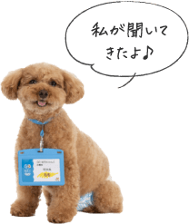 私が聞いてきたよ♪