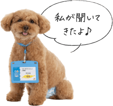 私が聞いてきたよ♪