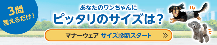 3問答えるだけ！あなたのワンちゃんにピッタリのサイズは？マナーウェア サイズ診断スタート