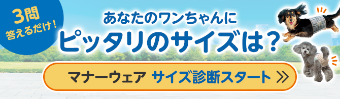 3問答えるだけ！あなたのワンちゃんにピッタリのサイズは？マナーウェア サイズ診断スタート