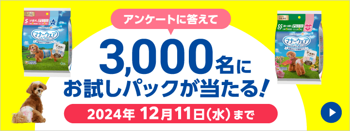 アンケートに答えて3,000名にお試しパックが当たる！2024年 12月11日（水）まで