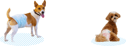 ワンちゃん