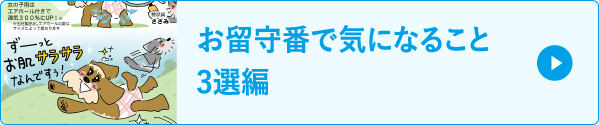 お留守番で気になること3選編