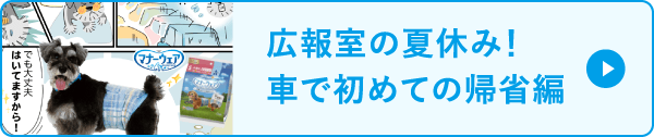 広報室の夏休み！車で初めての帰省編