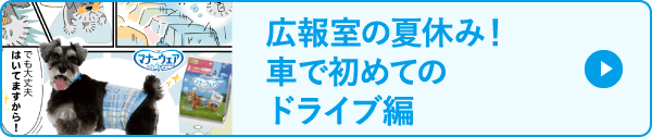 広報室の夏休み！車で初めてのドライブ編