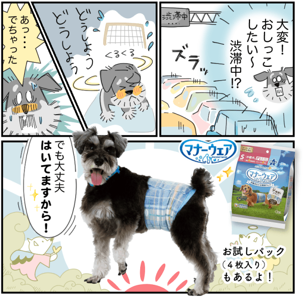 広報室の夏休み！車で初めての帰省編～2