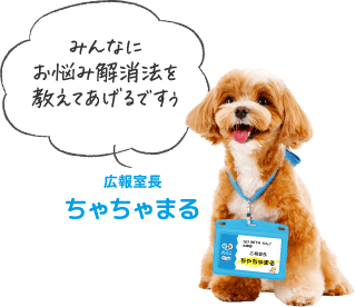 みんなにお悩み解消法を教えてあげるですぅ広報室長 ちゃちゃまる