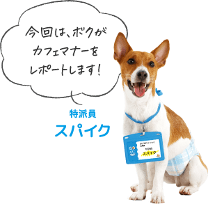 今回は、ボクがカフェマナーをレポートします！特派員スパイク