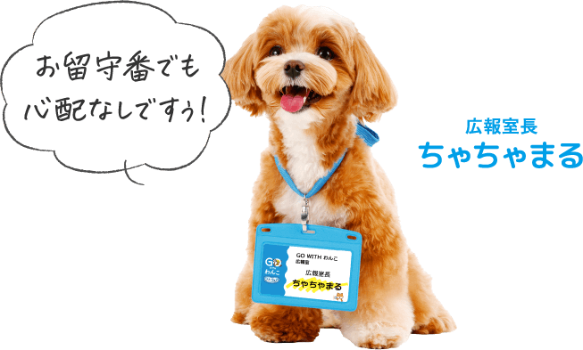 お留守番でも心配なしですぅ！広報室長 ちゃちゃまる