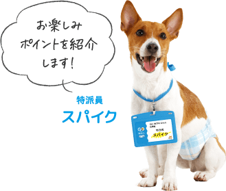 お楽しみポイントを紹介します！