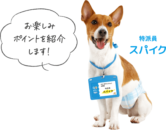 お楽しみポイントを紹介します！