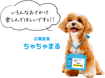 いろんなおでかけ楽しんでほしいですぅ！ 広報室長ちゃちゃまる
